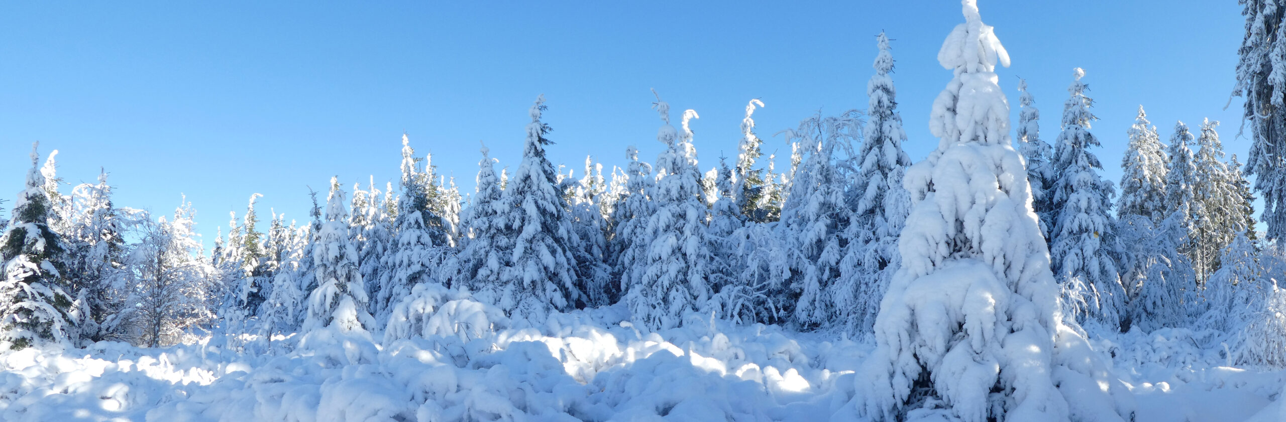 Header14