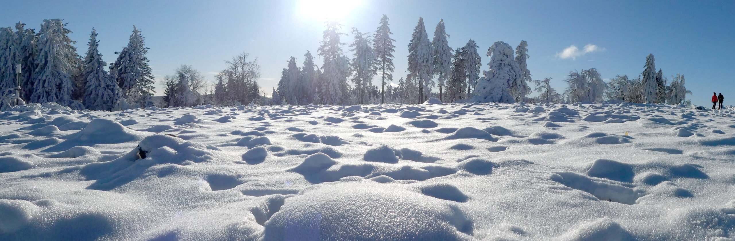 Header15